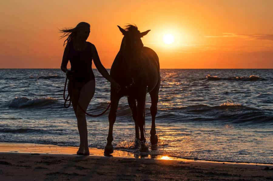 Casablanca: Beach Horseback Riding with Hotel Transfers - Arriving at the horse farm