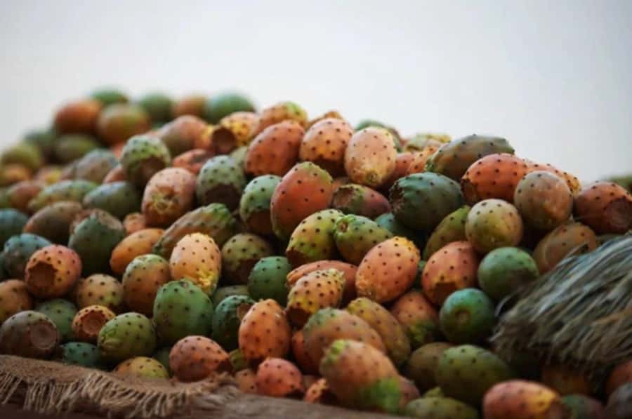 Casablanca: Food Tour with Tastings in Quartier Habous - Walking the streets around Habbous