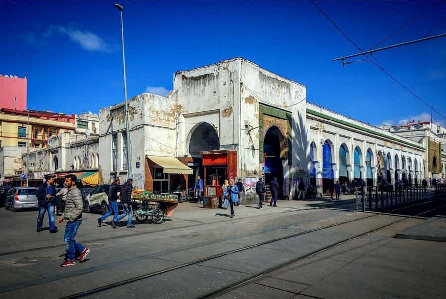 Casablanca Full-Day City Tour with round-trip hotel transfer - The guide can make or break the day