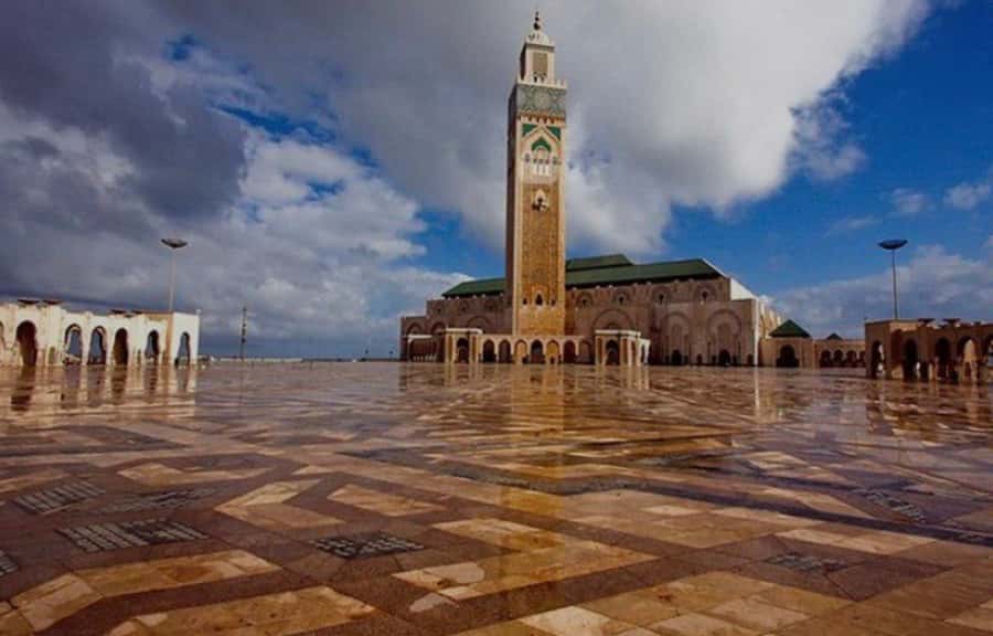 Casablanca Full-Day City Tour with round-trip hotel transfer - Rick’s Café and the Casablanca film connection