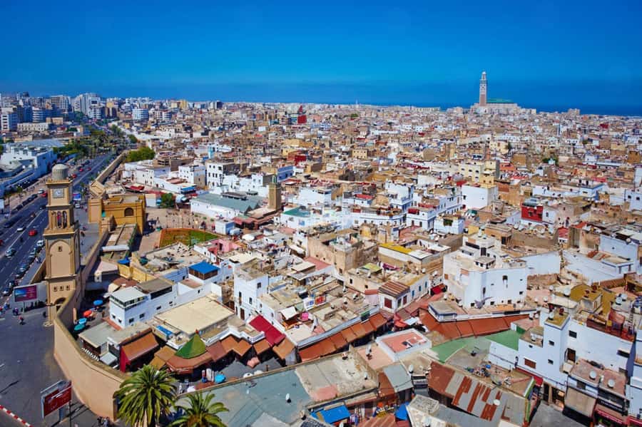 Casablanca Half Day City Tour with Professional local Guide - The Central Market brings food into the picture