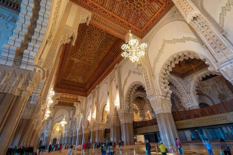 Casablanca Half Day City Tour with Professional local Guide - What the guides add to the day