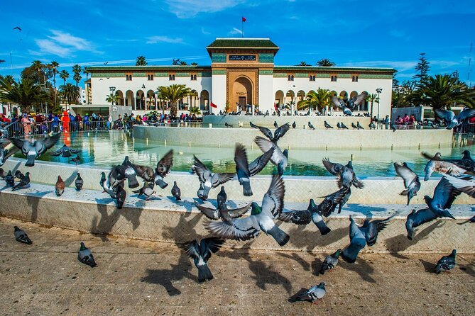 Casablanca Half-day guided tour - Rick’s Café and Casablanca’s movie connection