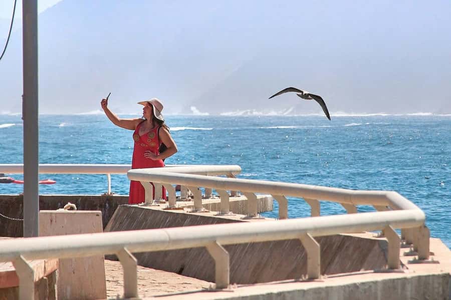 Casablanca: Private Guided Tour - Why this five-hour tour works well