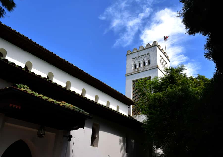 Casablanca: Tangier Day Tour by High-Speed Train - What the $152 price includes
