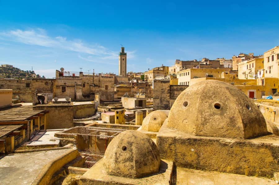 Casablanca to Fez: Scenic & Historical Day Trip with Lunch - Nejjar tannery, the Mellah, and Ibn Danan Synagogue