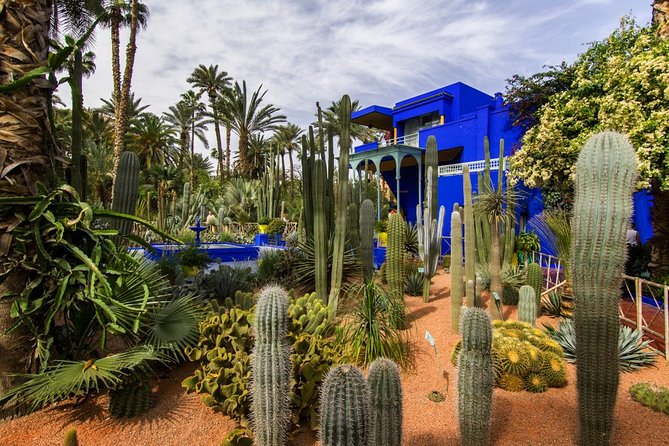 Casablanca to Marrakech Day Trip with Camel Ride - Menara Gardens and the Secret Garden