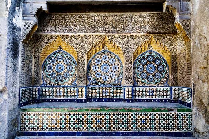 Casablanca to Tangier Day Trip By High-Speed Train and Camel Ride - How the guide and driver affect the day