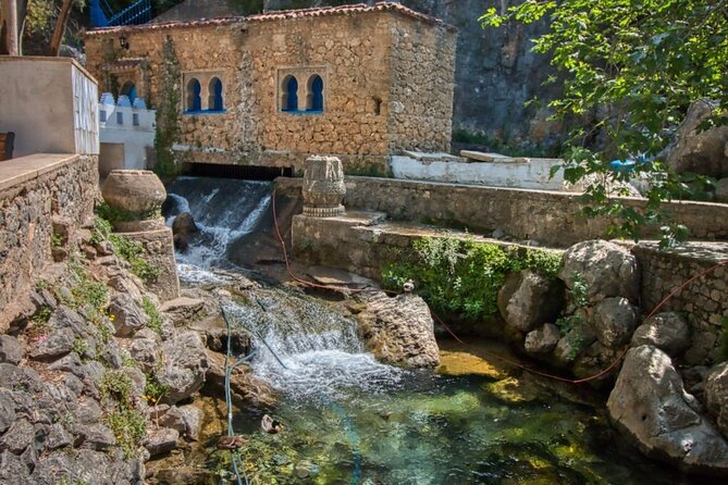 Chefchaouen Day trip by High-Speed Train from Casablanca - The high-speed train to Tangier