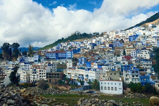 Chefchaouen Day Trip from Fes - Key points at a glance