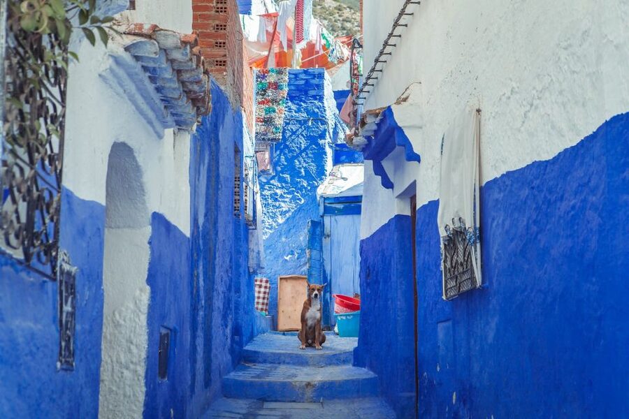Chefchaouen Day Trip from Fez (Shared Group Tour) - Four hours is enough, but only for a taste
