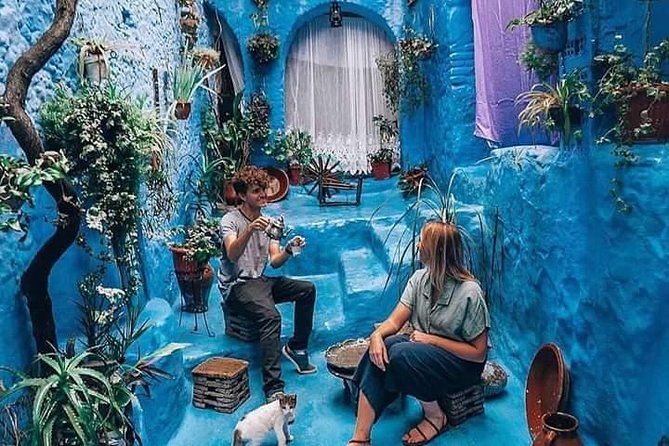 Chefchaouen Day Trip! The Blue Pearl - Key points before you book