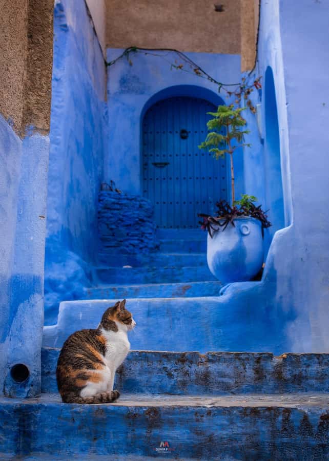 Chefchaouen tour guide - Why Chefchaouen works best with a guide