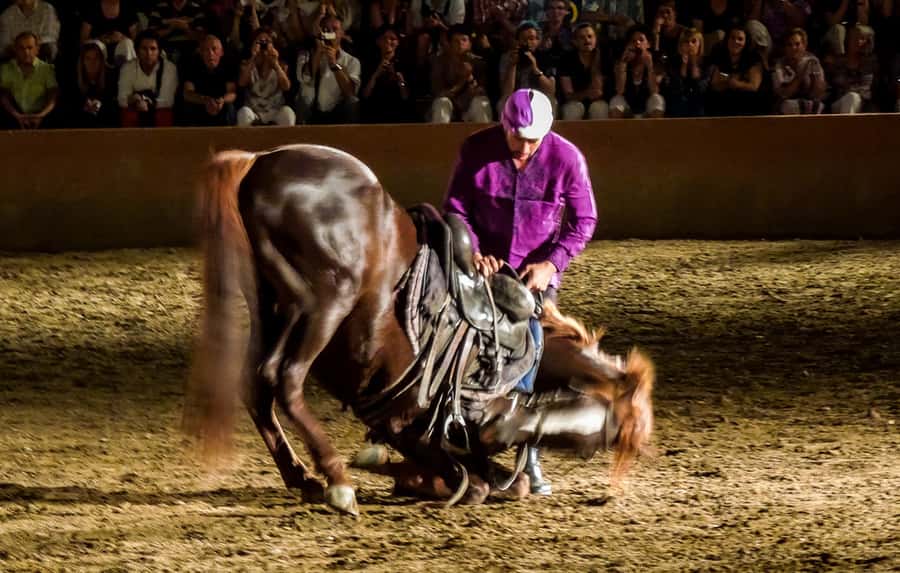 Chez Ali Dinner & Horsemen Show From Marrakech - Leaving Marrakech for the Chez Ali complex