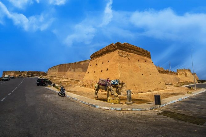 City Tour Agadir - From the seaside to the working fishing port