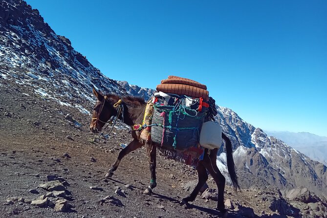 Climb Mount Toubkal 2 Days From Marrakech all Included - The long descent and return to Marrakech