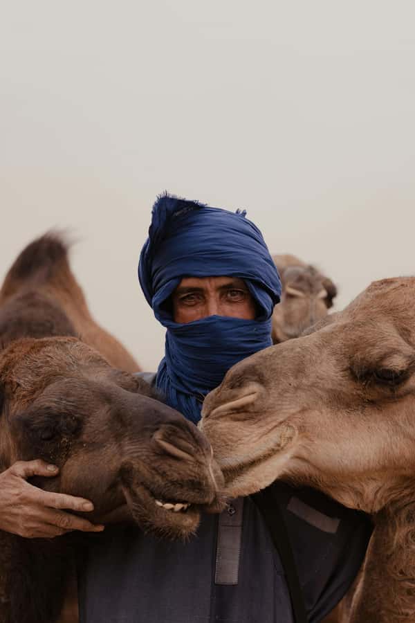 Dakhla White Dune Tour 4x4 - From your hotel to Dakhla’s open desert