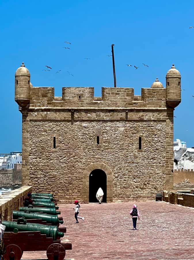 Day Excursion From Marrakech to Essaouira City - The argan oil cooperative visit