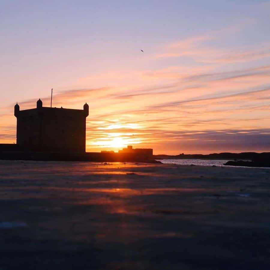 Day Excursion From Marrakech to Essaouira City - The port, fishing boats, and fresh seafood