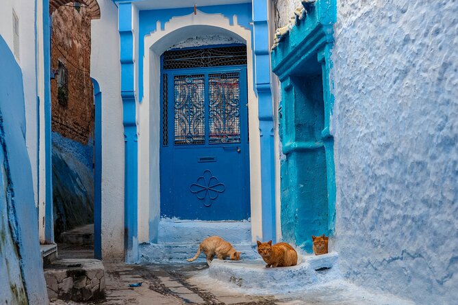 Day Trip from Fes to Chefchaouen - Handicrafts and woven goods