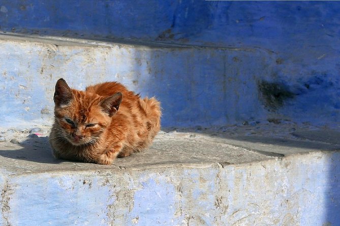 Day Trip from Fes to Chefchaouen - The long return to Fez