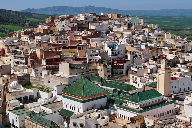 Day Trip from Fes to Meknes, Volubilis, Moulay Idriss - Walking through 43 hectares at Volubilis