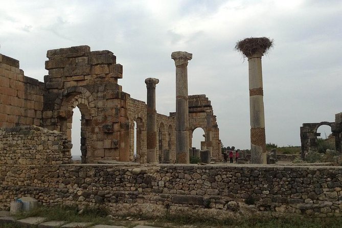 Day trip from Fes to Volubilis Moulay Idriss & Meknes - Meknes, imperial gates and a short city visit