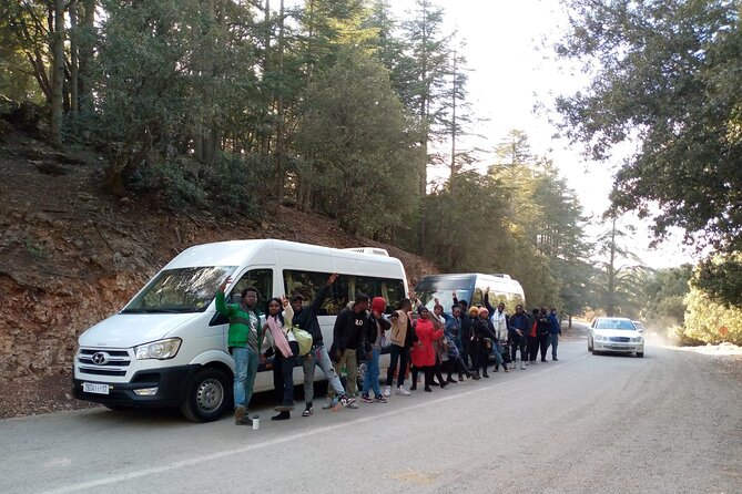 day trip from fez to middle atlas mountain - Ifrane, French-style streets in the mountains