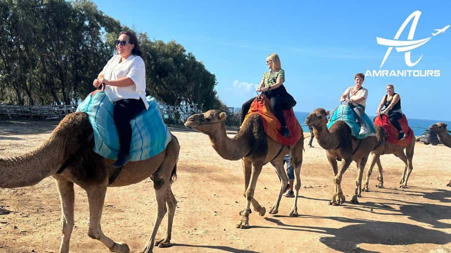 Day trip from Gibraltar to Morocco All Inclusive - The return ferry and a very long day