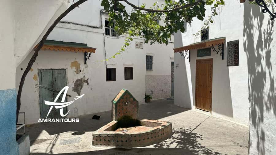 Day trip from Gibraltar to Morocco All Inclusive - Museums, tombs, and the Kasbah