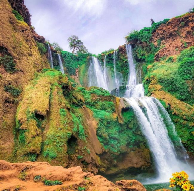 Day trip from Marrakech to Ouzoud Waterfalls - Who will enjoy this day trip?