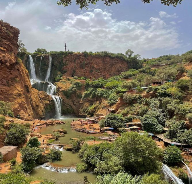 Day trip from Marrakech to Ouzoud Waterfalls - Looking for wild monkeys in the trees