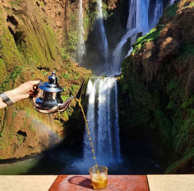 Day trip from Marrakech to Ouzoud Waterfalls - The guide and driver make a real difference