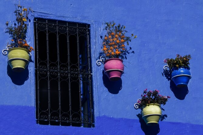 Day Trip to Chefchaouen From Fez with Local Expert - Who will enjoy this day trip most