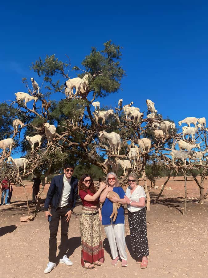 Day trip to Essaouira - The argan oil village stop