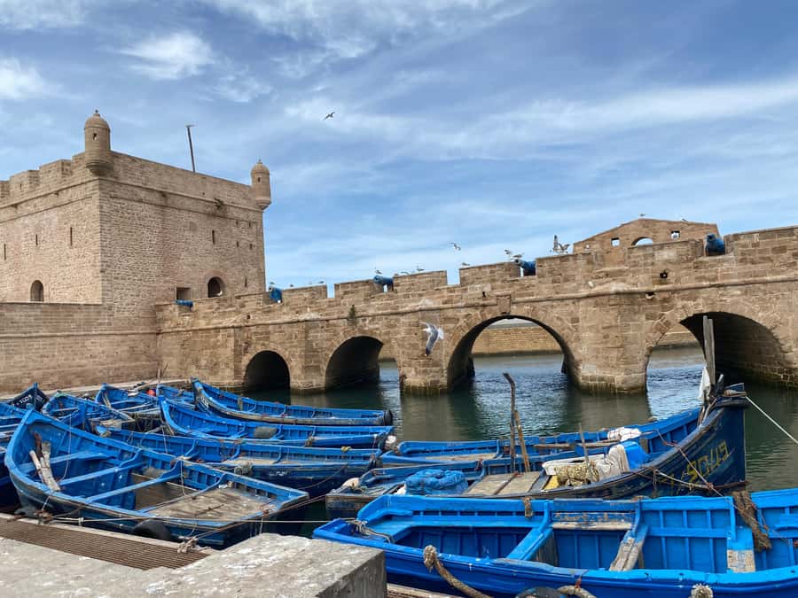 Day trip to Essaouira - Wandering the medina and souks