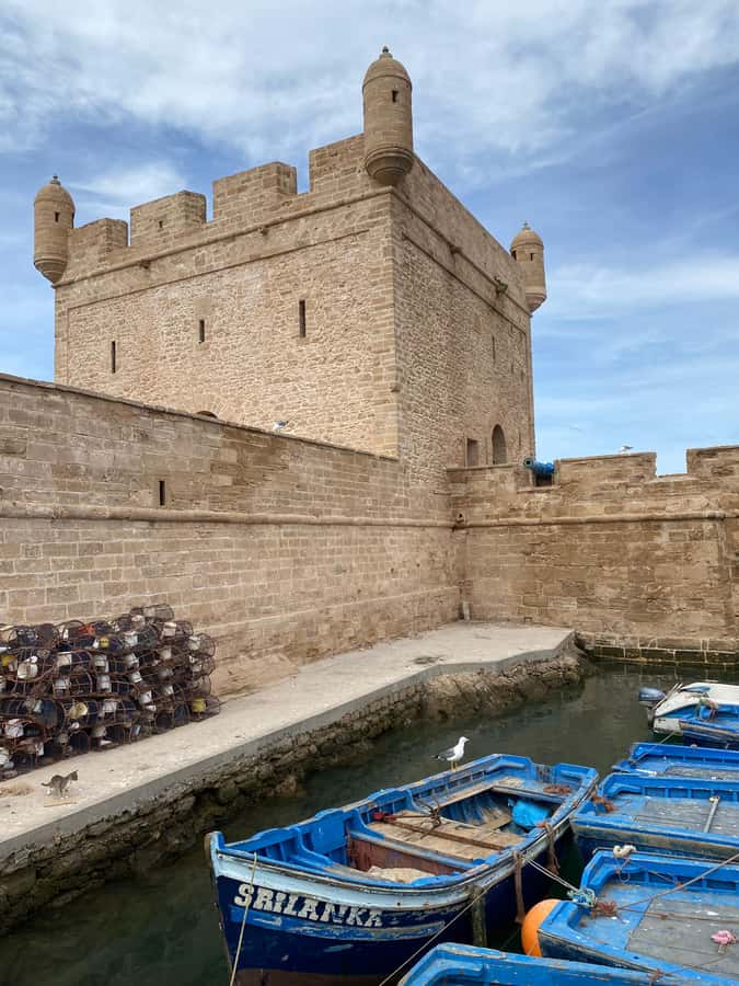 Day trip to Essaouira - The drivers are a major part of the experience