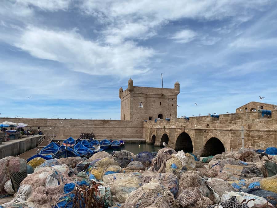 Day trip to Essaouira - Is the $11 price good value?