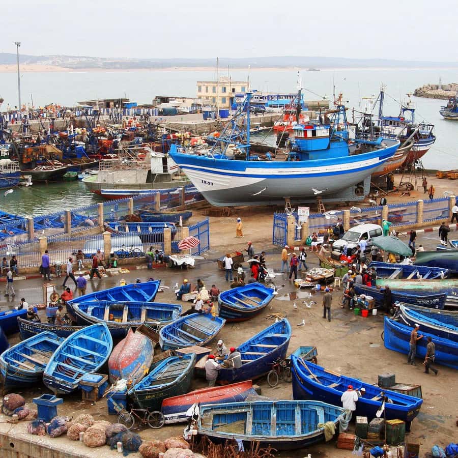 Day Trip To Essaouira From Marrakech With Guide - Chichaoua and the first road break