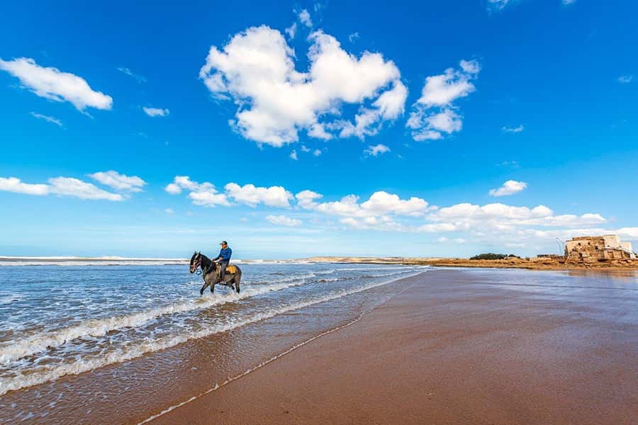 Day Trip To Essaouira From Marrakech With Guide - Guides, drivers, and the small details that matter