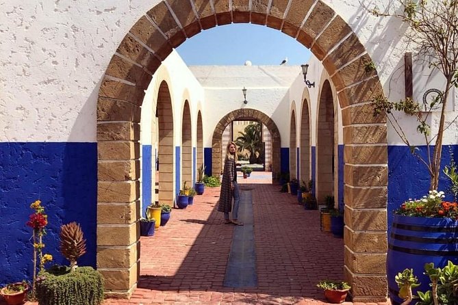 Day trip to Essaouira the portuguese town from Agadir or Taghazout - Argan trees, the famous goats, and a village café