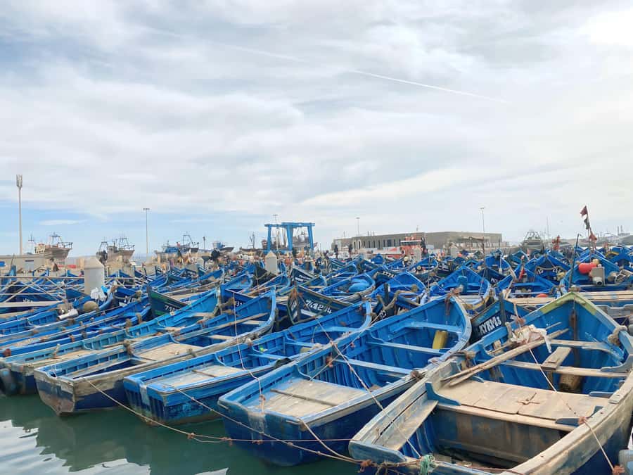 Day trip to Essaouira - Leaving Marrakech and crossing western Morocco