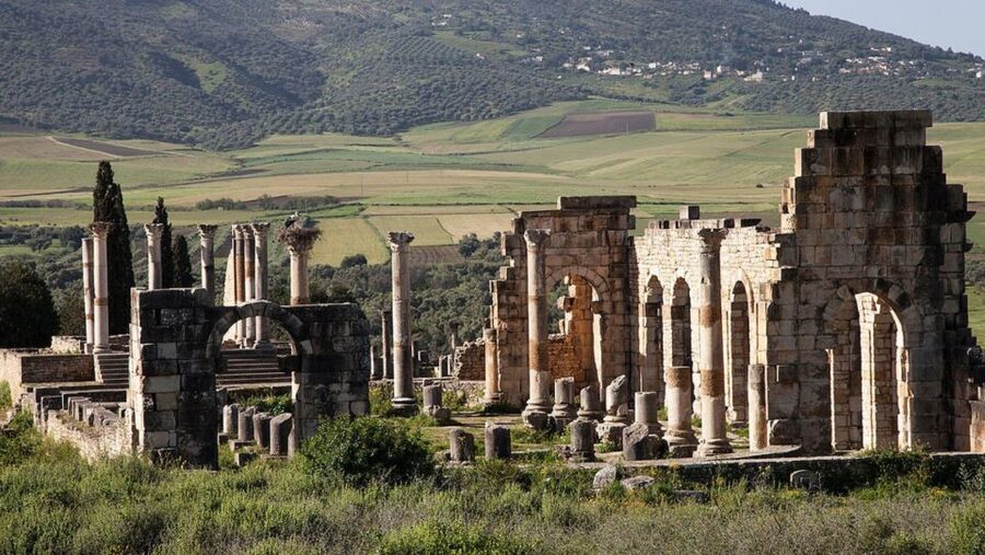 Day trip to meknes ,volubilis , moulay idris - My verdict: book it for variety and value