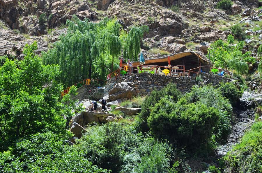 Day Trip To Ouzoud Waterfalls & Boat Ride From Marrakech - Barbary Macaques In The Forest