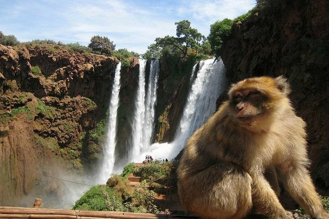 Day Trip To Ouzoud Waterfalls (Guide Hike & Boat are options) - Who Will Enjoy This Day Trip Most
