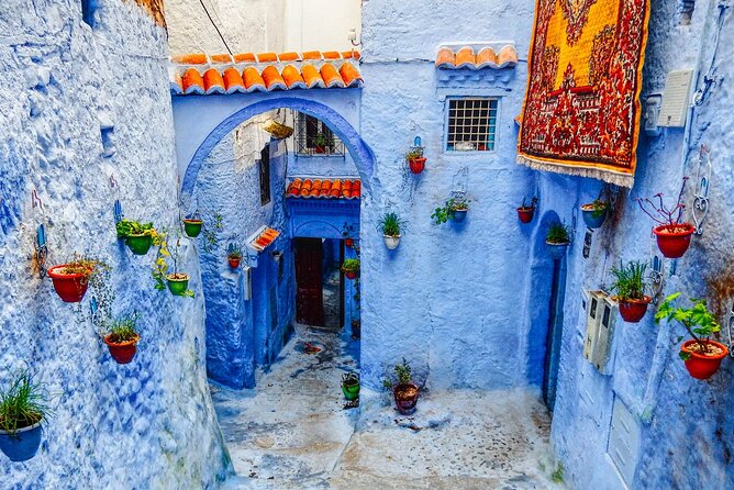 Day Trip Transport from Fes to Chefchaouen (The Blue City) - Transport, group size, and driver service