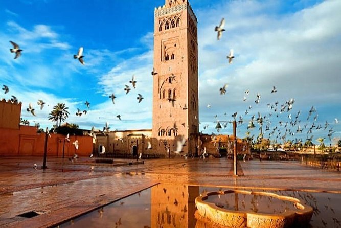 Day Trips from Agadir to Marrakech with Amazing guide - Leaving Agadir at 7:00 AM