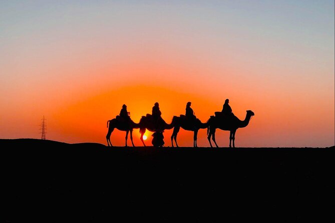 Desert Agafay & Atlas Mountains, Valleys & Waterfalls Tour from Marrakech - Lunch, timing, and the true value of $17.38