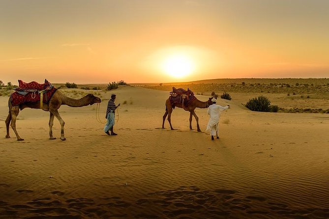 Desert Agafay & Atlas Mountains, Valleys & Waterfalls Tour from Marrakech - Who will enjoy this day most