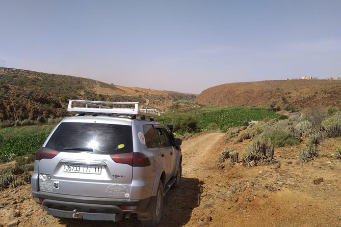 Desert and Ocean Private Day Tour - The Souss Massa National Park in ten minutes